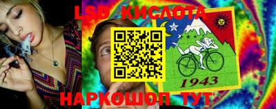 гашиш Шелехов