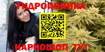 гашиш Шелехов