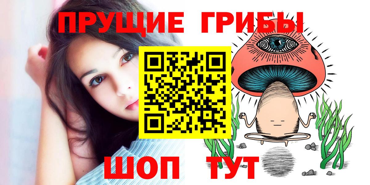 Псилоцибиновые грибы GOLDEN TEACHER Славгород